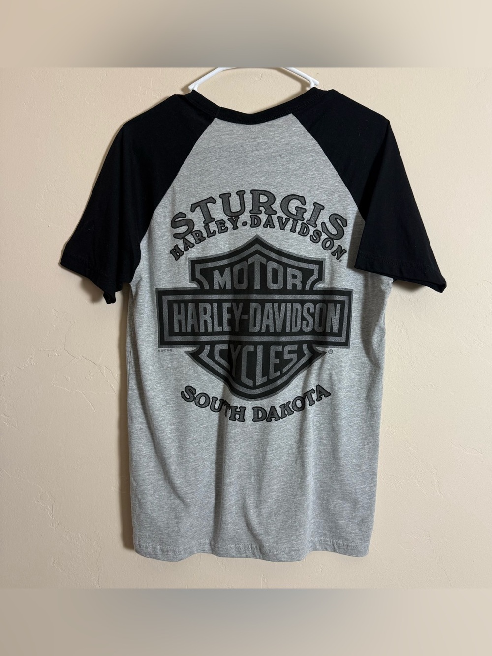 Harley-Davidson Sturgis Raglan T-Shirt in Gray and Black